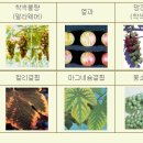 (주)한국그린환경