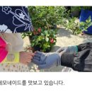 대주농장3 이미지