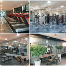 수원-0696 Daum카페