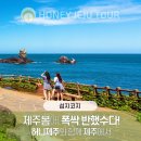 제주다정여행사 이미지