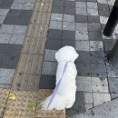 아우어패밀리 이미지