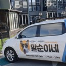 동물제중원금손이 동물병원 | 강아지 디스크수술, 디스크비수술동물병원, 한방동물병원 순위 (슬개골탈구)