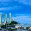 명당축산 이미지