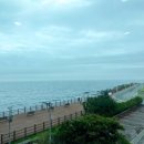 밀양초장집 이미지