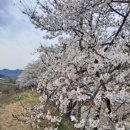 강변2리마을회관 이미지