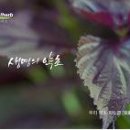 (주)옴니허브 이미지