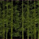 명상(주간) | 초보도 할 수 있는 주간 명상 루틴 나도 몰랐던 진짜 변화