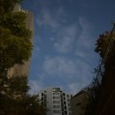 (주)제이엠프로 | [READY 10월] 연말이 다가왔으니 미뤄왔던 거 해야겠지 | 🎞️원 배틀 에프터 어나더 | 🥖빵드시엘, 코끼리...