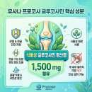 유사나 프로코사 글루코사민 후기