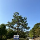 지에스25 선운산리조트점 이미지