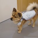 옐레드 문래역점 이미지