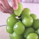 정호농장 이미지