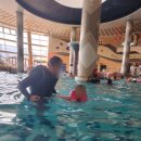 N파크 | 거제 소노캄 오션어드벤처 워터파크 N번째 방문후기