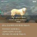 눈치 - 북구 와우로 14 | 눈치