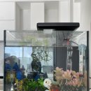 어항카센타 이미지