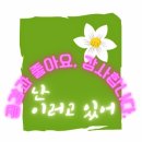 Vincent(Starry, Starry Night), 빈센트, 별이 빛나는 밤에, 돈 맥클린(1971년), Loving Vincent 영화...