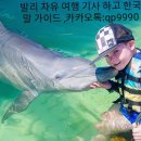 세랑 이미지