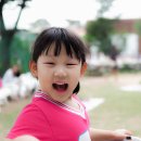 Cat garden 이미지