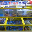 아라활어회
