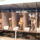 경인농장 이미지