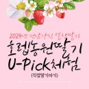 호렙농장 네이버블로그