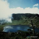 한라산천연보호구역 이미지