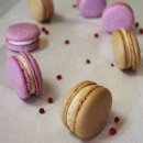 봉스마켓 이미지