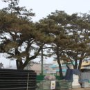 주천초등학교 이미지