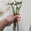 다방1리마을회관 이미지