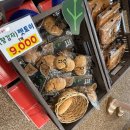 신샘밭로 L | 강원도 가볼만한 곳 춘천 감자밭 카페 l 감자빵 칼로리부터 메뉴, 웨이팅