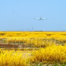 인천국제공항 하늘정원 내 이미지