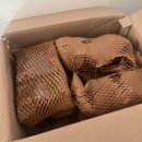 그래비티 | 탈모샴푸 할인 추천, 그래비티 가이스트 후기