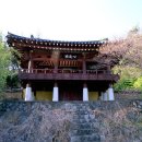 용평동 용호정 Daum카페