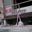 꿈꾸는 고양이 이미지