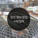 양산 장어구이 맛집 어만형제 솔직 후기, 민물장어는 지금이 제철!