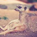 이광호 한의원 이미지