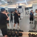 복싱그자체 이미지