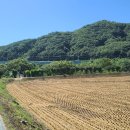 용늪대바위마을 이미지