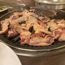 낙동생오리 이미지