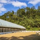 예지사료 이미지