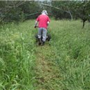 화평농장 이미지