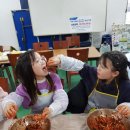 초락초교 이미지