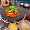 쭈꾸미도사 이미지