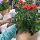 금구보건지소 이미지