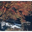 JIRI VALLEY 이미지