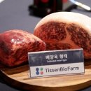 플레이웰 이미지