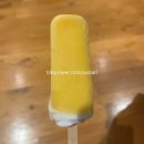 고호인터내셔널 | 호주 워홀 일지 10. 안녕 네버랜드 (워홀 조기귀국)