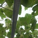 근원농장 이미지