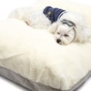 (주)바바펫 이미지