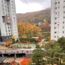 강남데시앙공인중개사사무소 이미지